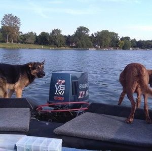 Meet your Posher, Shanna